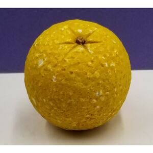 Vintage Italian Alabaster Stone Fruit MCM Orange W360